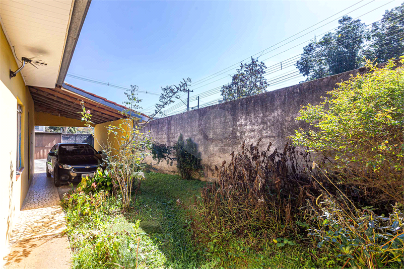 Foto REO1107375