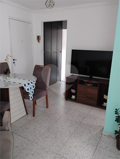Foto REO1107403
