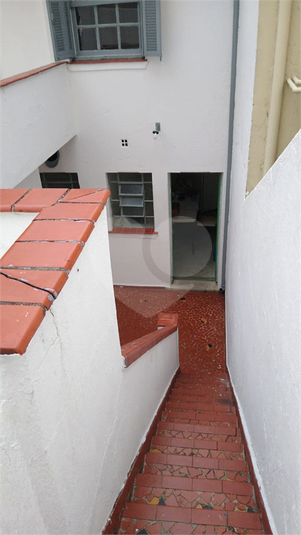 Foto REO1107405