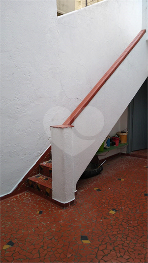 Foto REO1107405