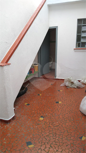 Foto REO1107405