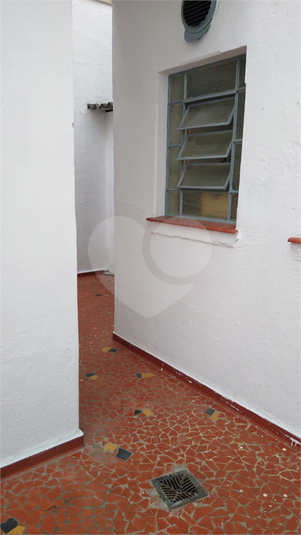 Foto REO1107405
