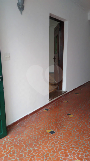 Foto REO1107405