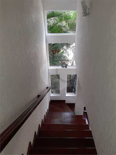 Foto REO1107406