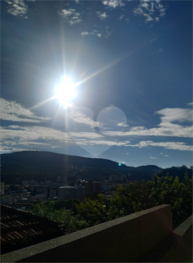 Foto REO1107413