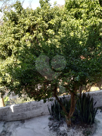 Foto REO1107413