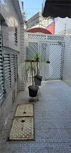 Foto REO1107425