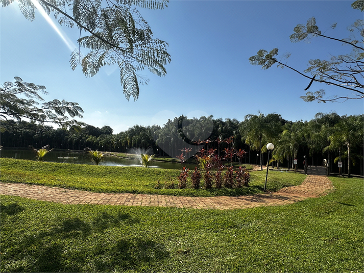 Foto REO1107426