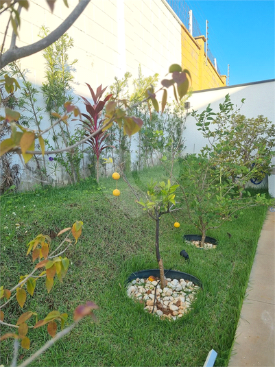 Foto REO1107427