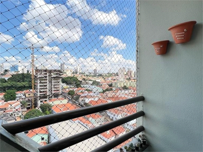 Foto REO1107436