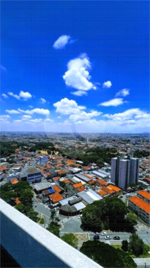 Foto REO1107438