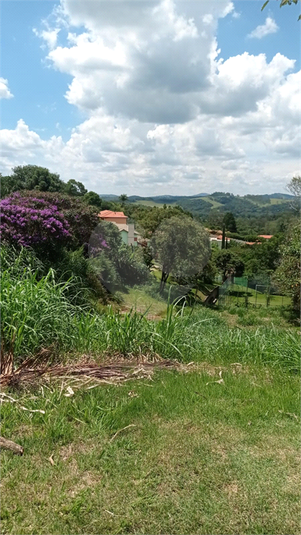 Foto REO1107442