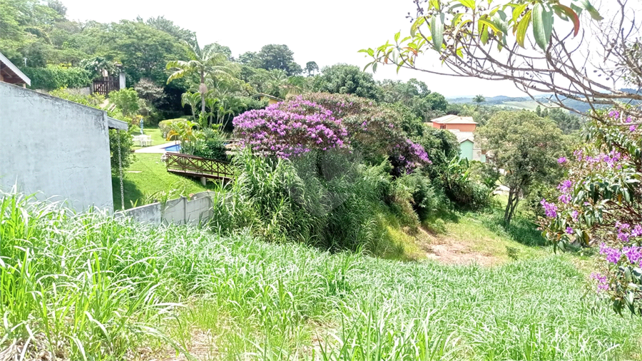 Foto REO1107442