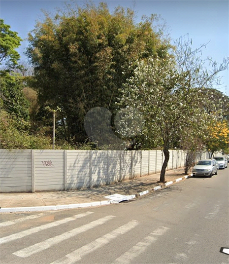 Foto REO1107446