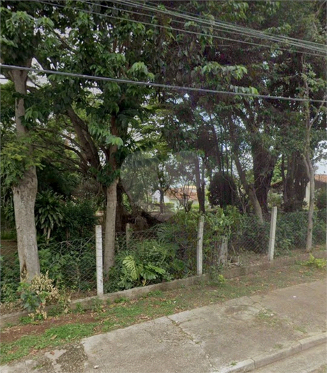 Foto REO1107446
