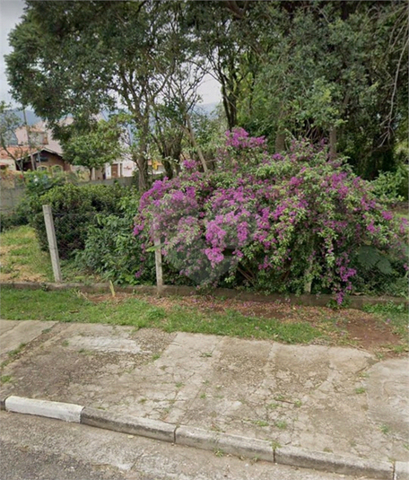 Foto REO1107446