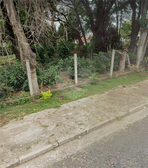 Foto REO1107446