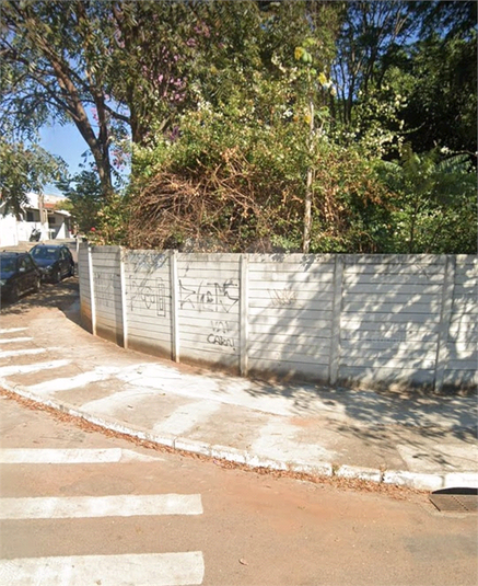 Foto REO1107446