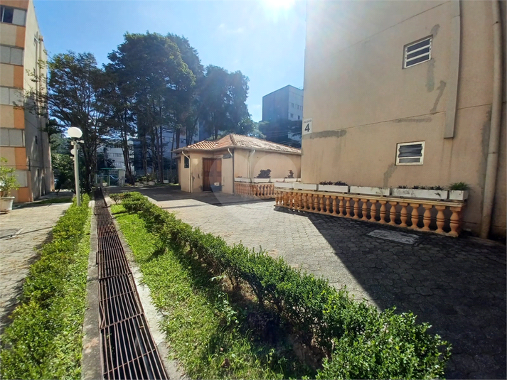 Foto REO1107455