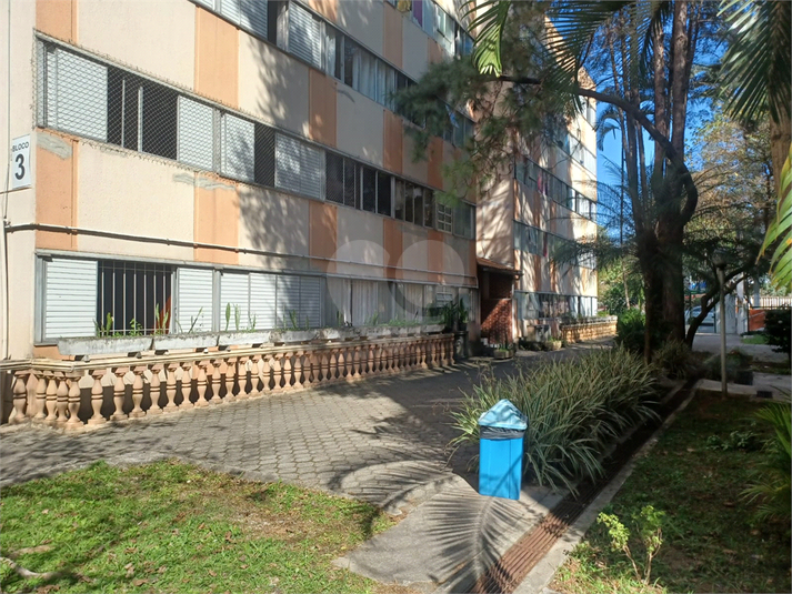 Foto REO1107455