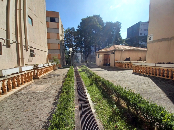 Foto REO1107455