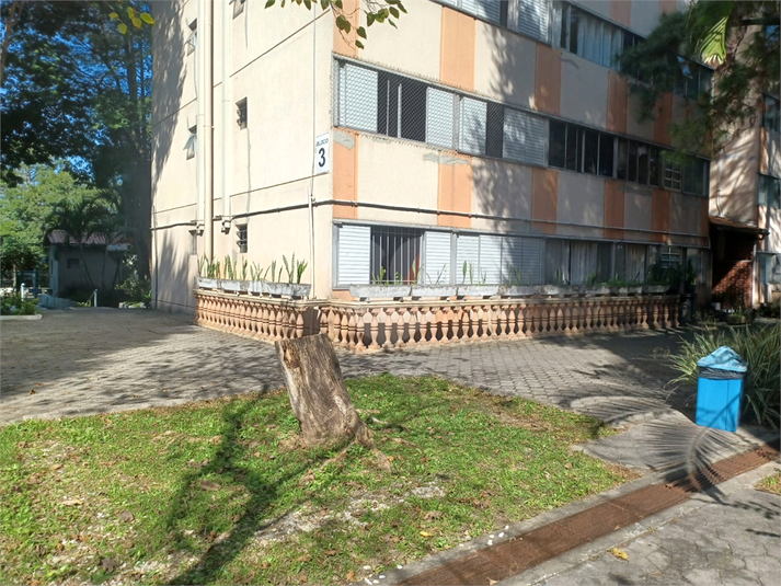 Foto REO1107455