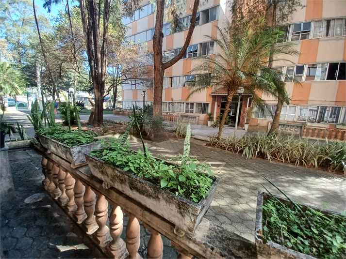 Foto REO1107455