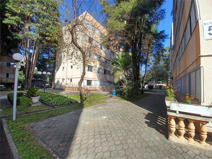 Foto REO1107455