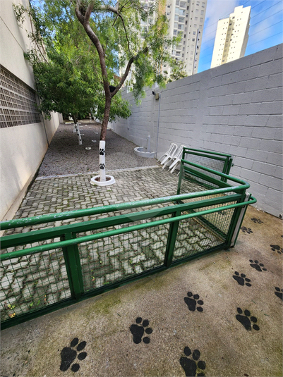 Foto REO1107459