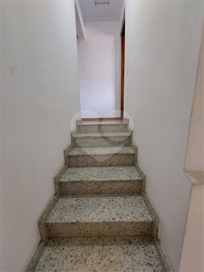 Foto REO1107487