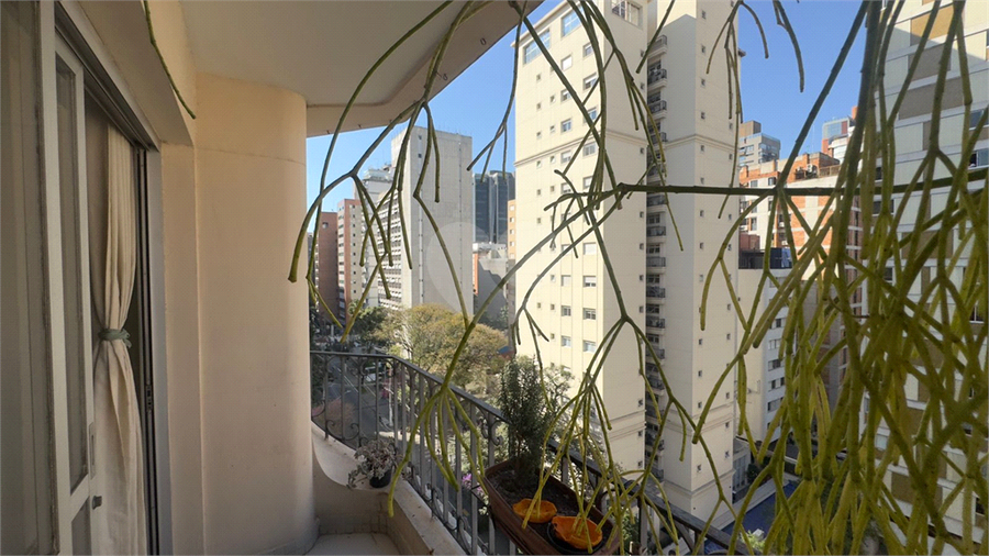 Foto REO1107513