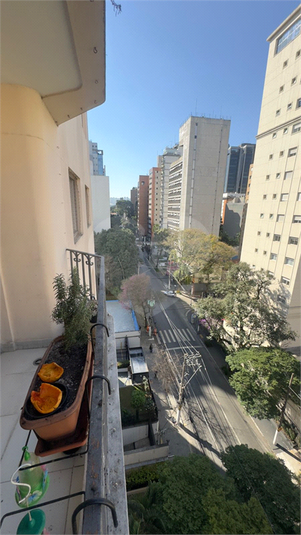 Foto REO1107513