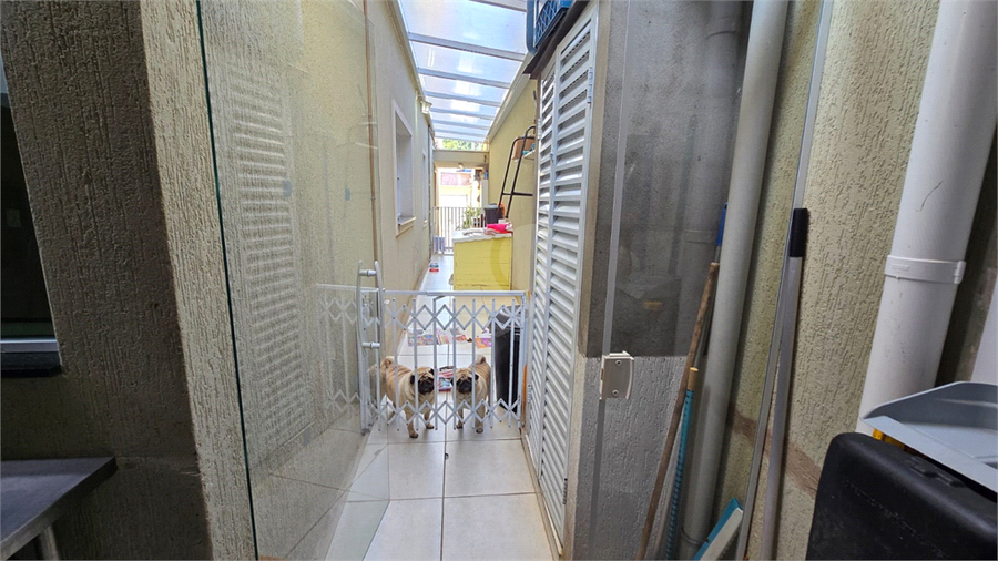Foto REO1107517