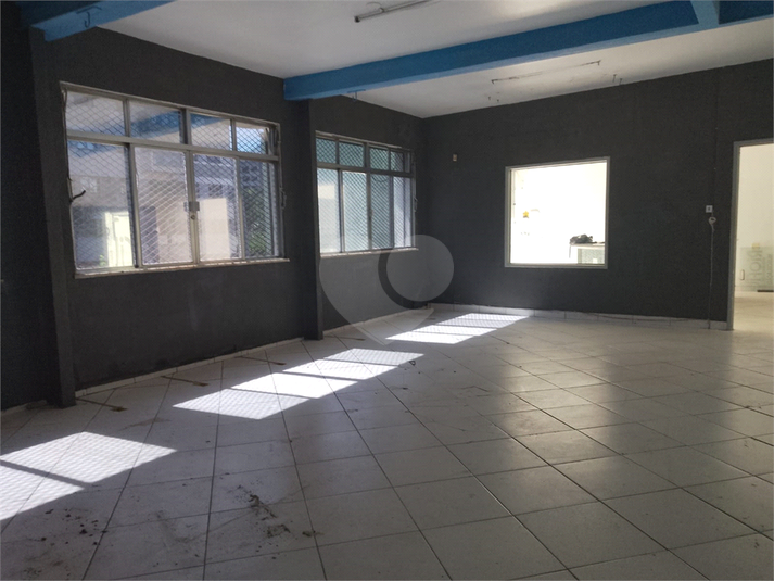 Foto REO1107524