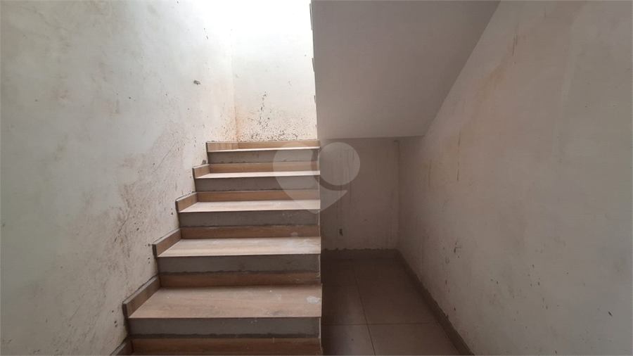 Foto REO1107551