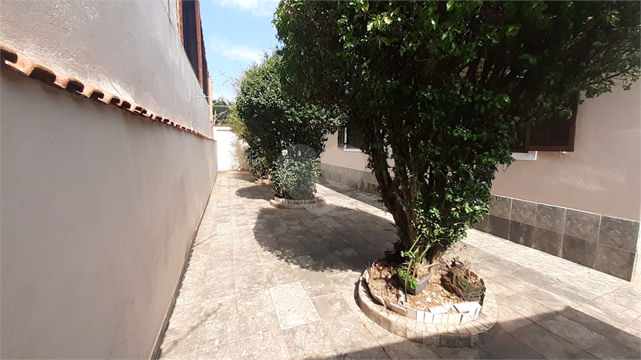 Foto REO1107555