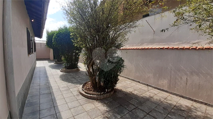 Foto REO1107555