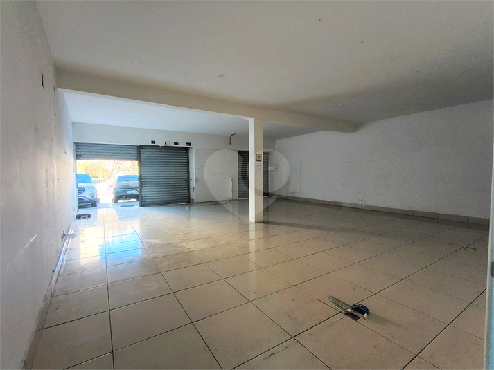 Foto REO1107564