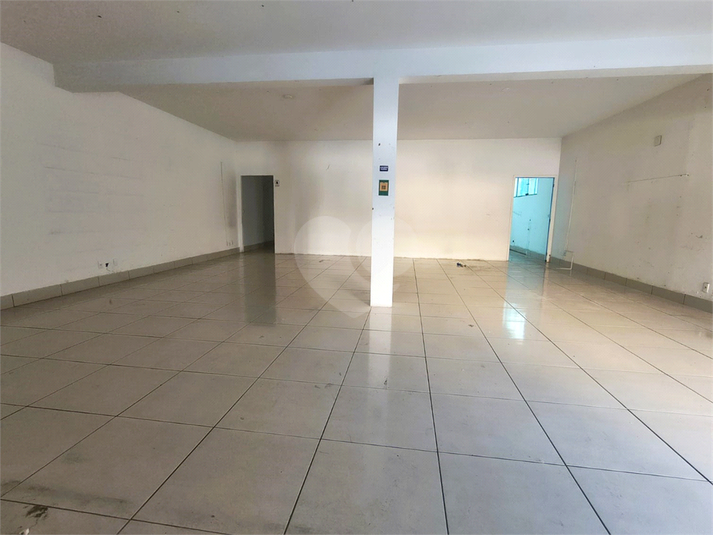Foto REO1107564