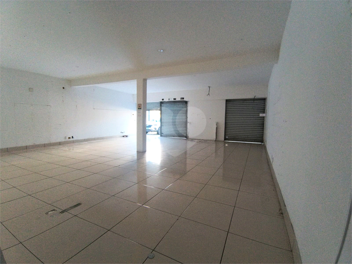 Foto REO1107564