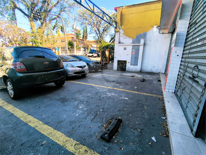 Foto REO1107564