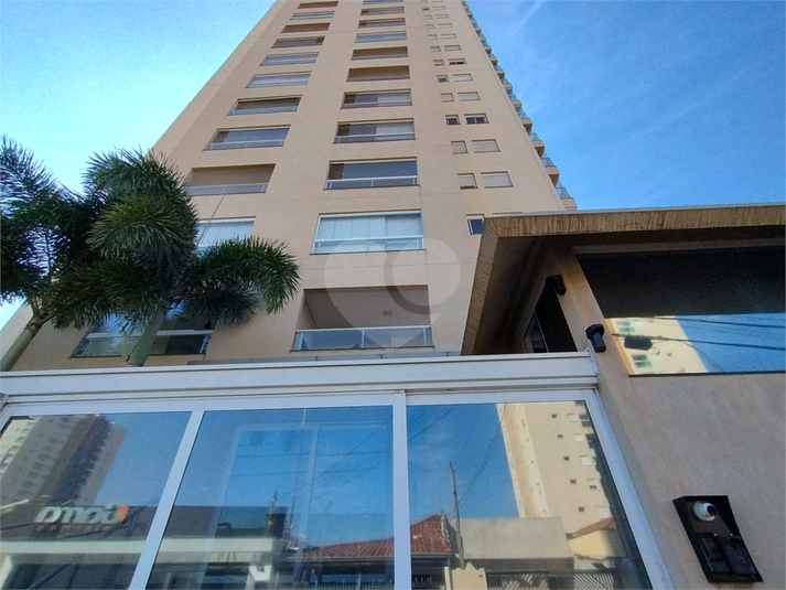 Foto REO1107565