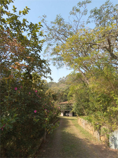 Foto REO1107572