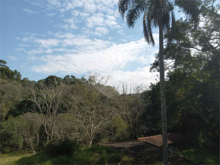 Foto REO1107572