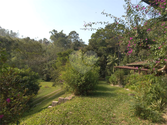 Foto REO1107572