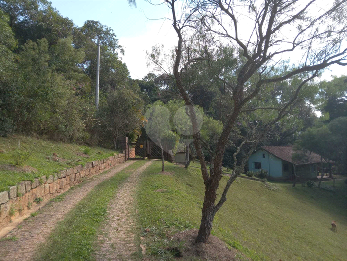 Foto REO1107572