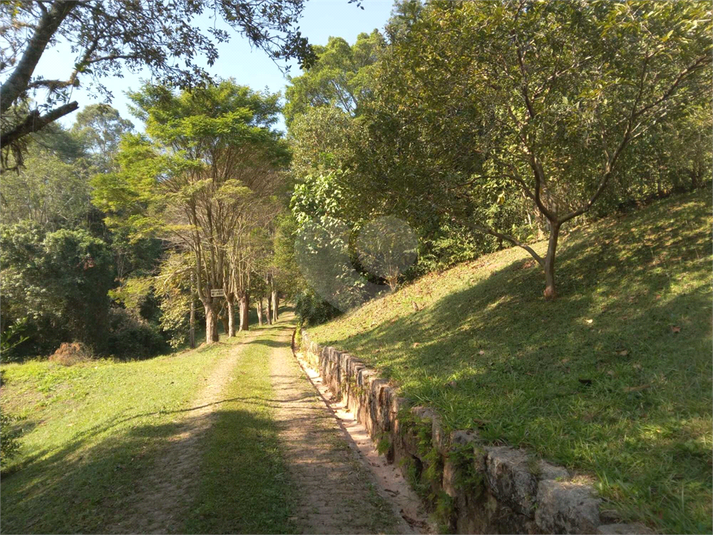 Foto REO1107572