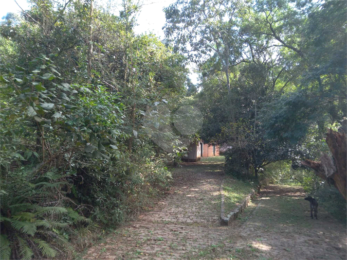 Foto REO1107572