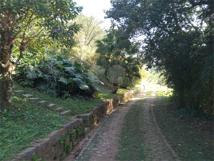 Foto REO1107572