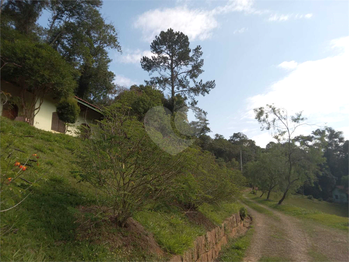 Foto REO1107572